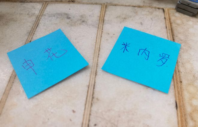 申花坏消息不断 杯赛被淘汰 米内罗停赛3场 |  第26轮中超 海港VS北京国安 都有CCTV直播